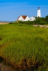 Beachgrass by Lynde Point Lighthouse in Harbor Low Tide